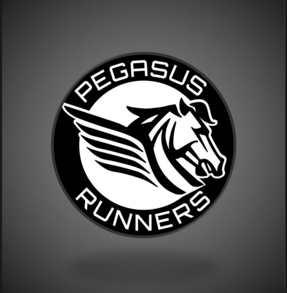 Logo de Pegasus Runners
