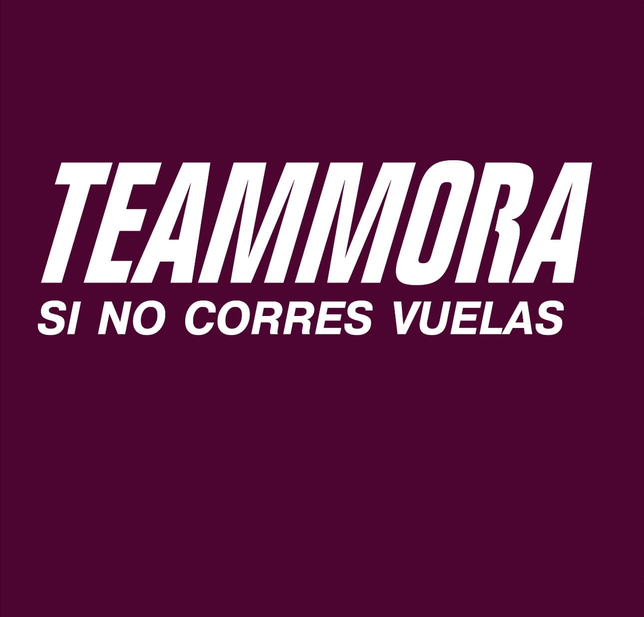 Logo de TeammoraChile